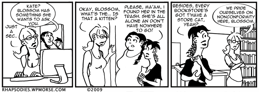Storecat 4