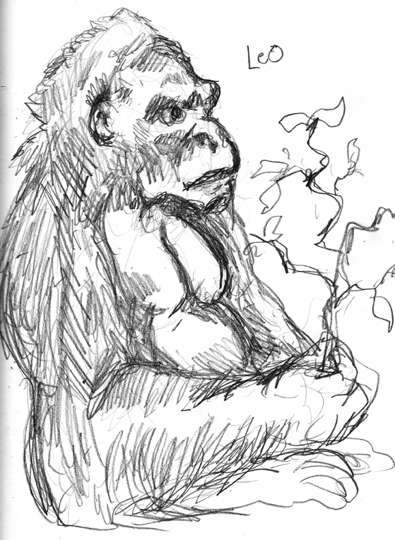 Gorillasketch2015111901