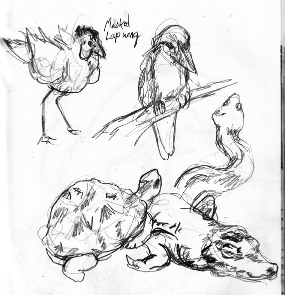 Zoo sketches