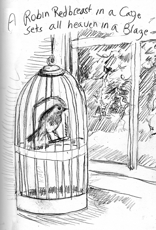 Sketch Challenge Day 28 - A robin redbreast in a cage