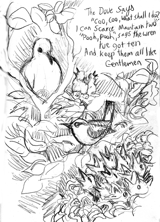 Sketch Challenge Day 55 - The Dove and the Wren