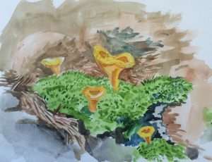 More Painting Chantelle Mushrooms