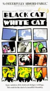 Wednesday Double Feature - The Magical Realism of Emir Kusturica - Black Cat, White Cat